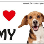 "I Love" Magnet 9x6cm - Beagle