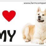 "I Love" Magnet 9x6cm - Akita Inu