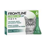 Frontline Combo cat