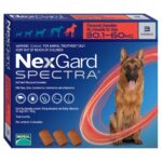 Nextgard Spectra XL (30-60kg)