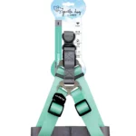 GENTLE DOG Triangle Harness L Green